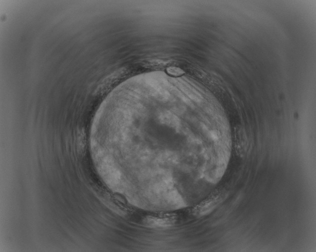 X0000067890563200604271829