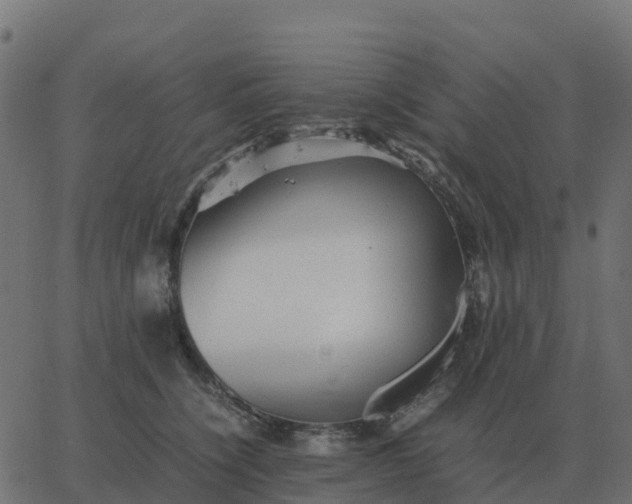 X0000067890564200604271829