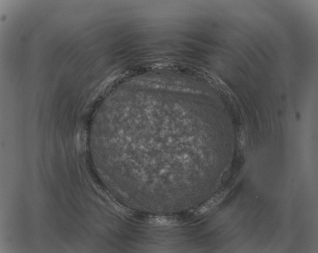 X0000067890565200604271829