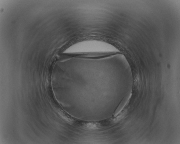 X0000067890566200604271829