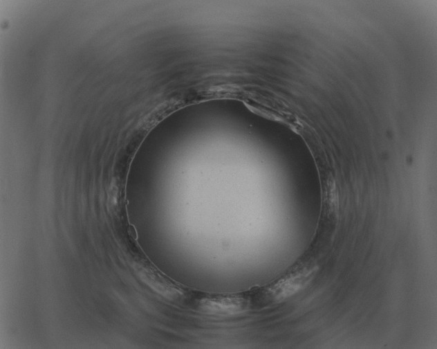 X0000067890567200604271829