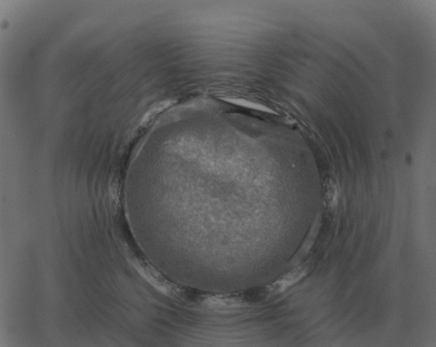 X0000067890568200604271829