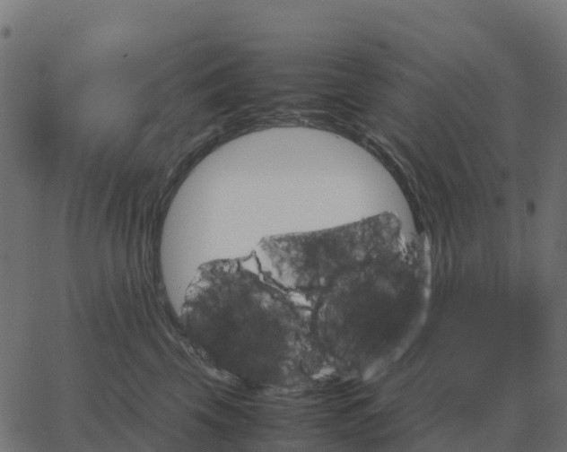 X0000067890569200604271829