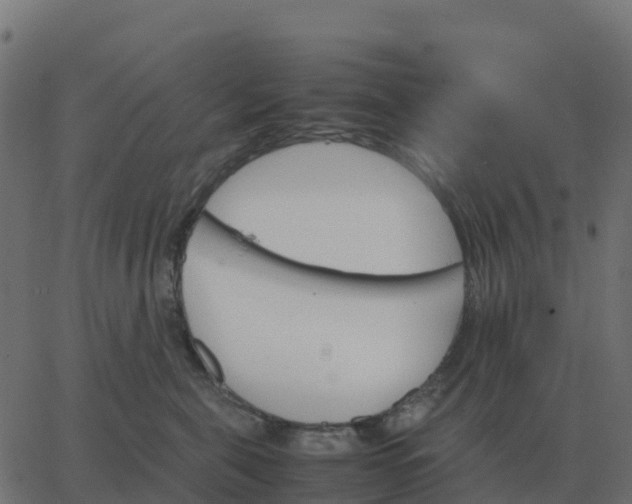 X0000067890571200604271829