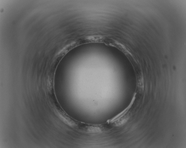 X0000067890572200604271829