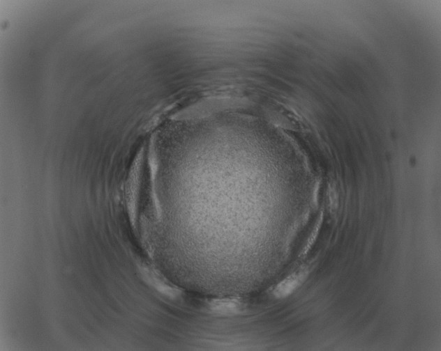 X0000067890574200604271829