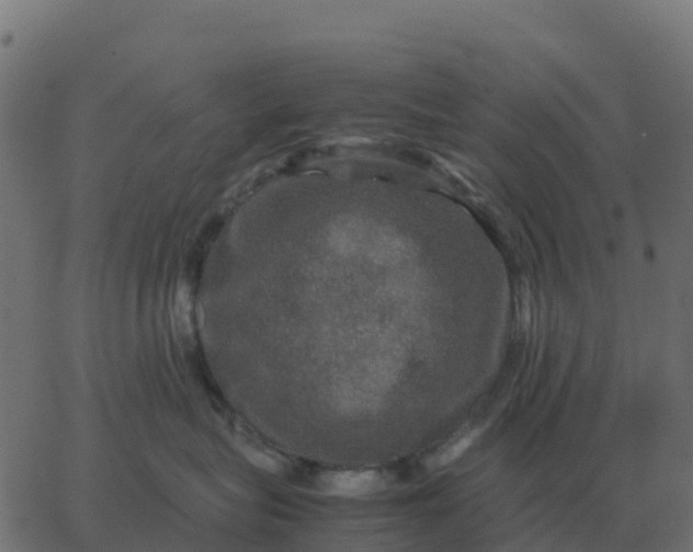 X0000067890575200604271829