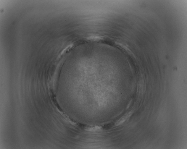 X0000067890576200604271829