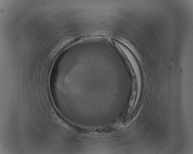 X0000067890577200604271829