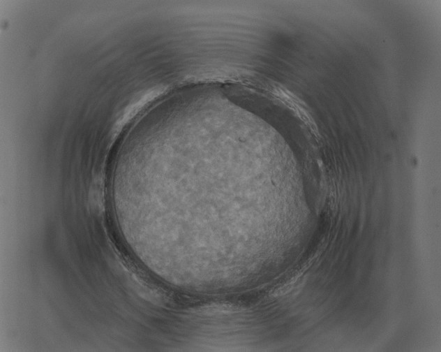 X0000067890578200604271829