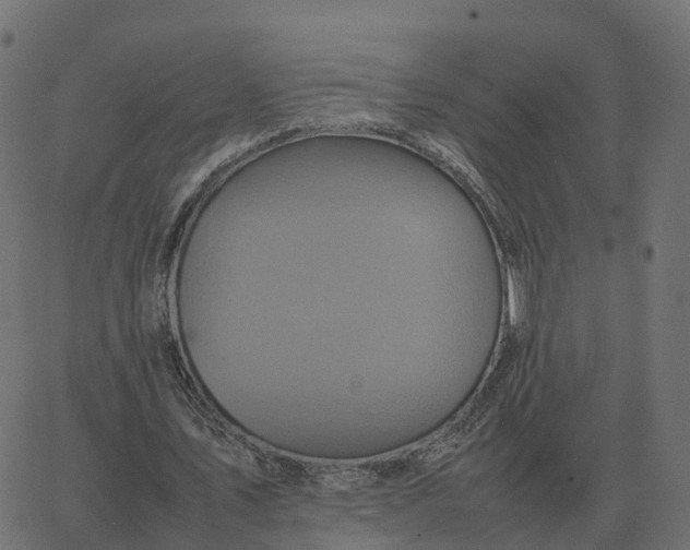 X0000067890579200604271829