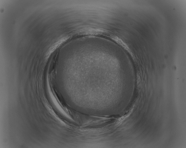 X0000067890581200604271829