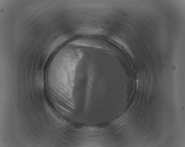 X0000067890582200604271829