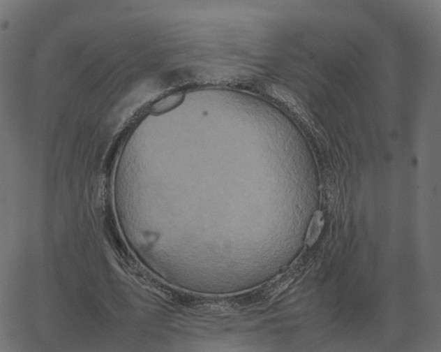 X0000067890583200604271829