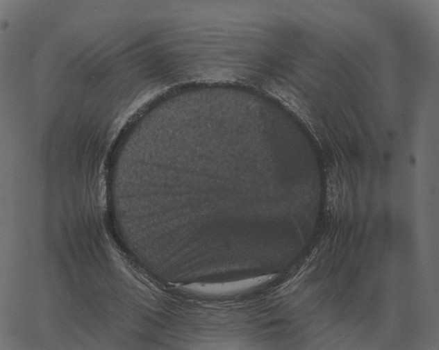 X0000067890584200604271829