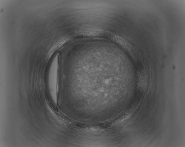 X0000067890586200604271829