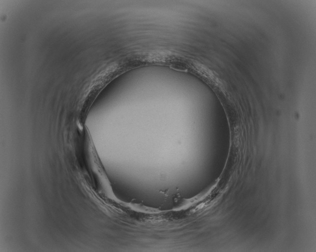 X0000067890589200604271828