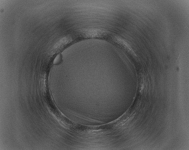 X0000067890590200604271828