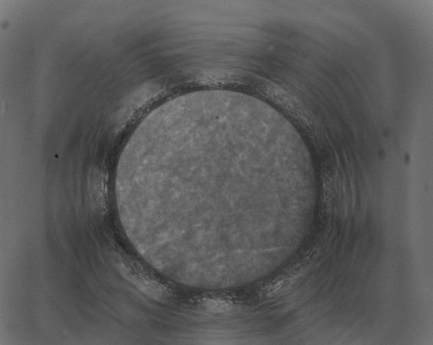 X0000067890592200604271828