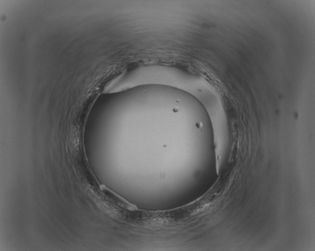 X0000067890593200604271828