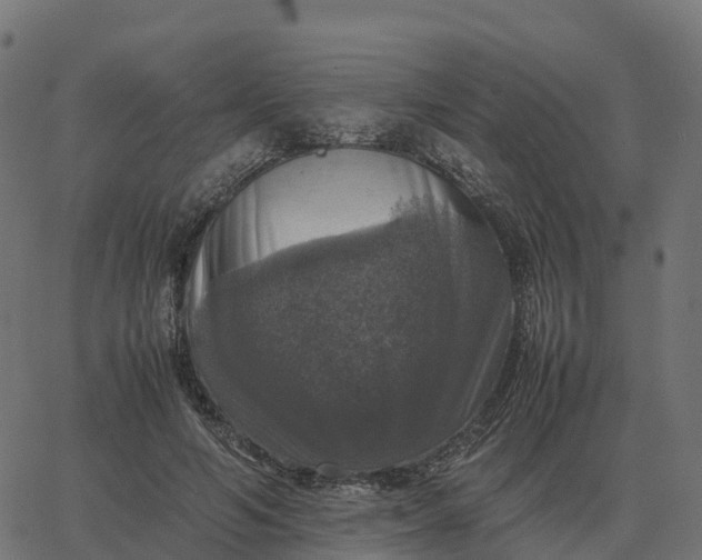 X0000067890594200604271828