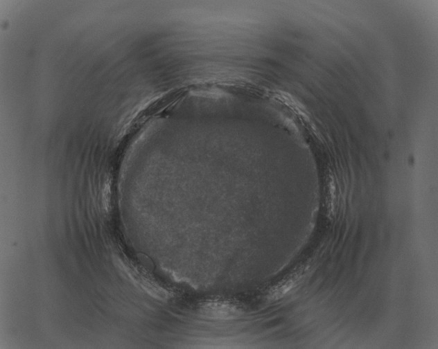 X0000067890596200604271828