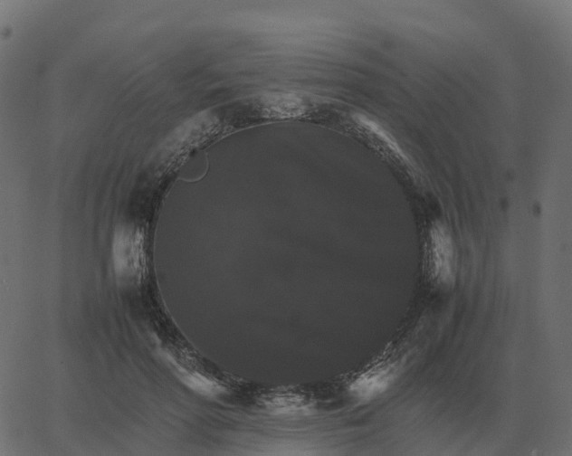 X0000067890598200604271828