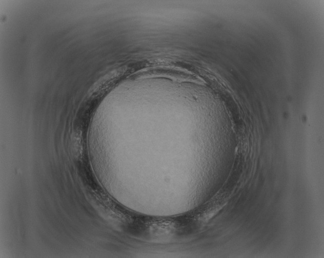 X0000067890599200604271828