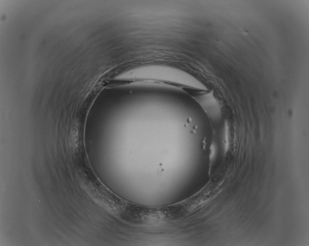 X0000067890600200604271828