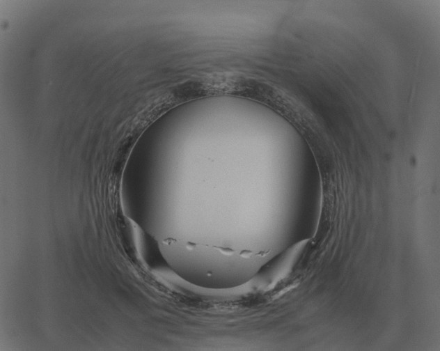 X0000067890601200604271828