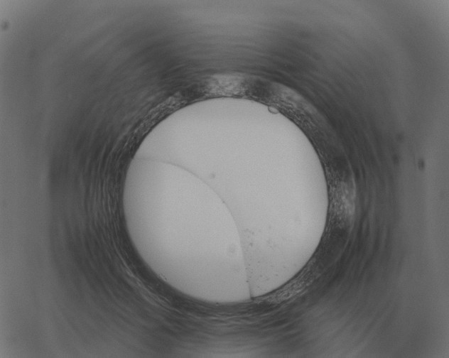 X0000067890602200604271828