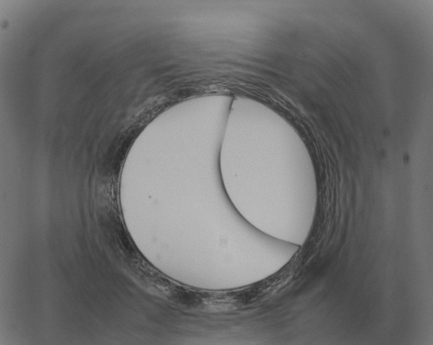 X0000067890603200604271828