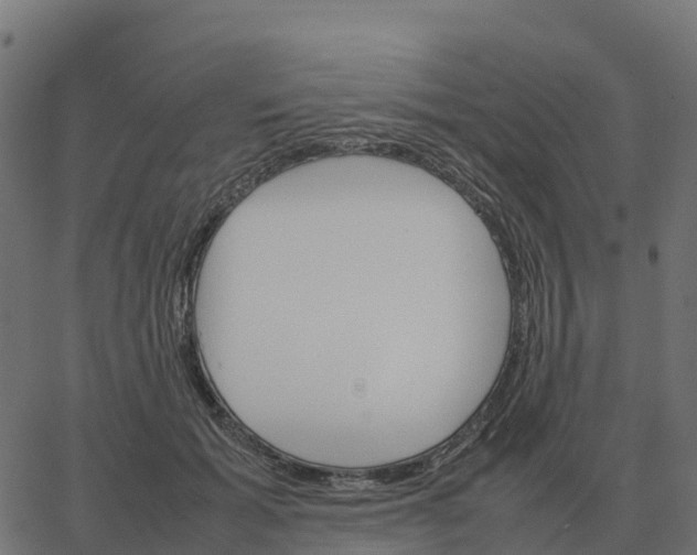 X0000067890605200604271828