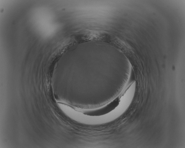 X0000067890607200604271828