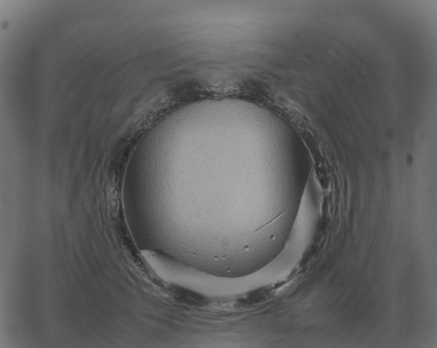 X0000067890609200604271828