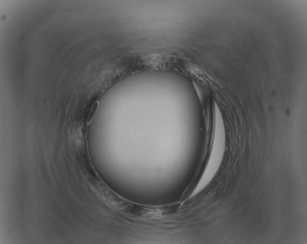 X0000067890611200604271828