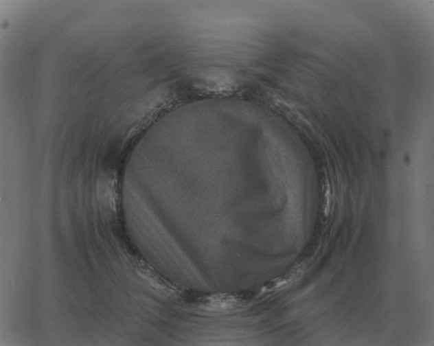 X0000067890612200604271828