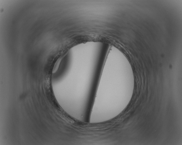 X0000067890613200604271828