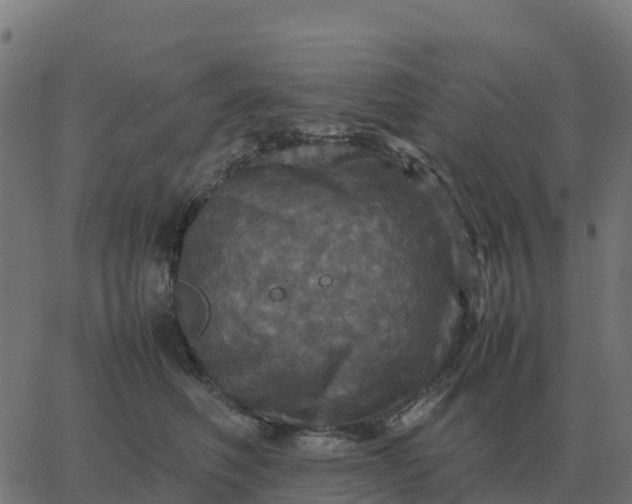 X0000067890614200604271828