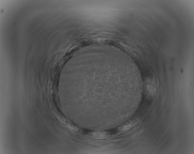 X0000067890615200604271828