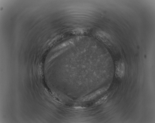 X0000067890616200604271828