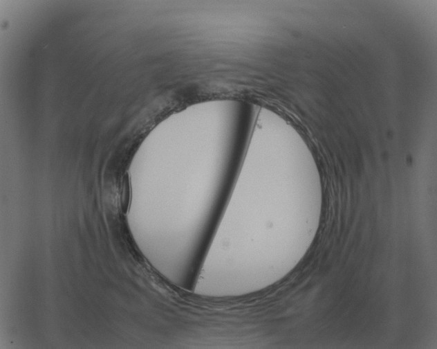 X0000067890617200604271828