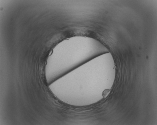 X0000067890619200604271828