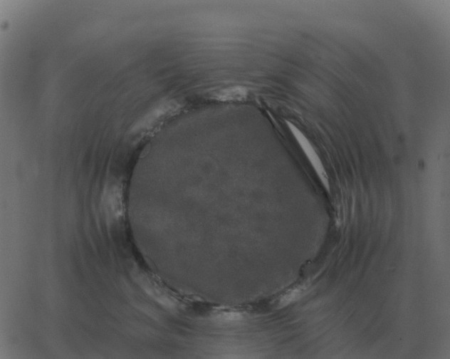 X0000067890620200604271828