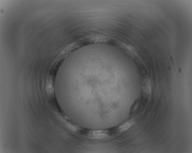 X0000067890622200604271828