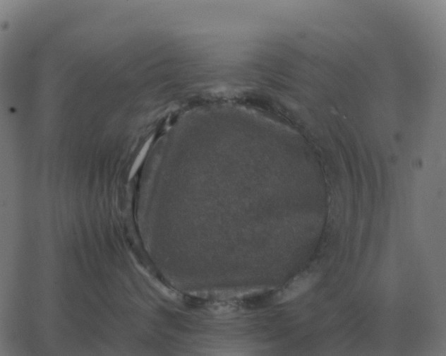 X0000067890624200604271828