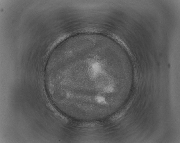 X0000067890625200604271827