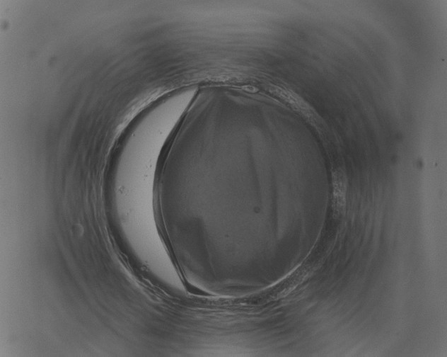 X0000067890626200604271827