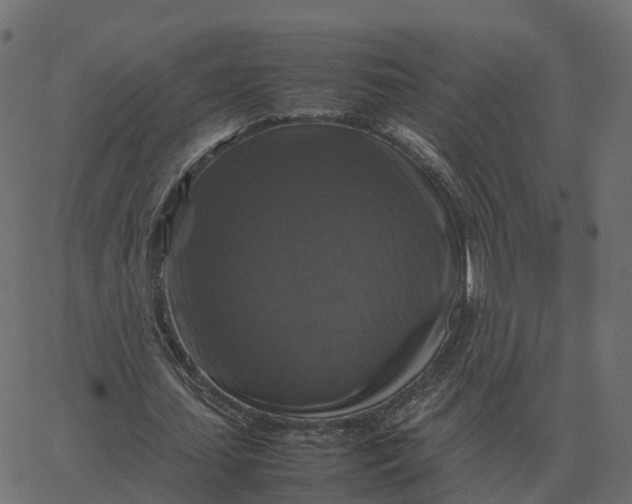 X0000067890627200604271827