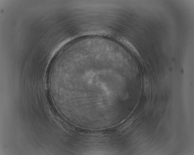 X0000067890628200604271827